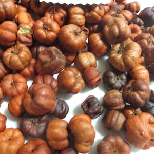 SCENTED PUTKA PODS