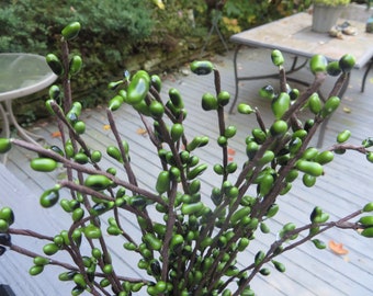 FOREST GREEN PIP Berry Sprays    Sale!   St. Patrick's Day Pips