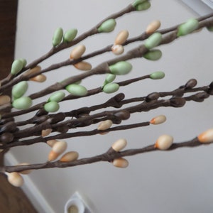 May include: A bunch of brown twigs with small green and orange buds. The twigs are arranged in a fan shape.
