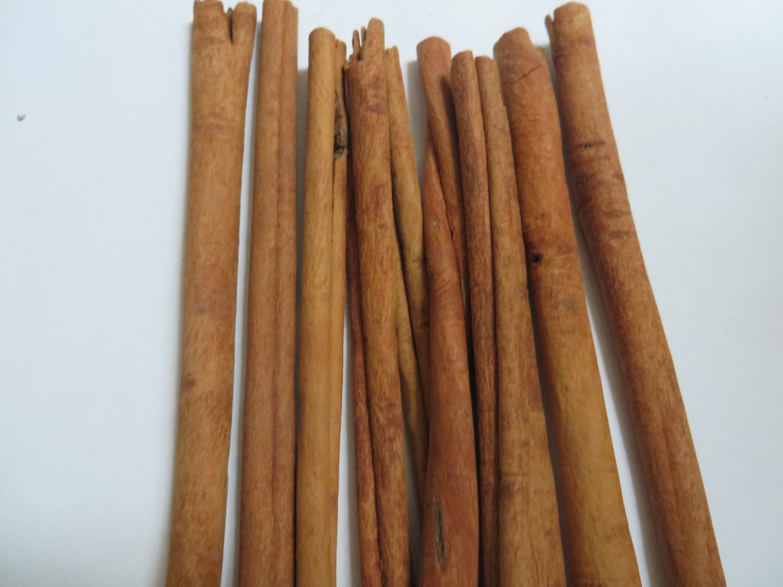 Large Bundle 10 inch LONG CINNAMON STICKS Food Grade Etsy