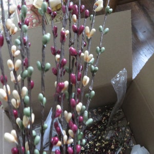 May include: Decorative artificial berry stems in a cardboard box. The stems are brown with clusters of cream, green, and burgundy berries. The berries are heart-shaped. The box is open, revealing more stems and packing material.