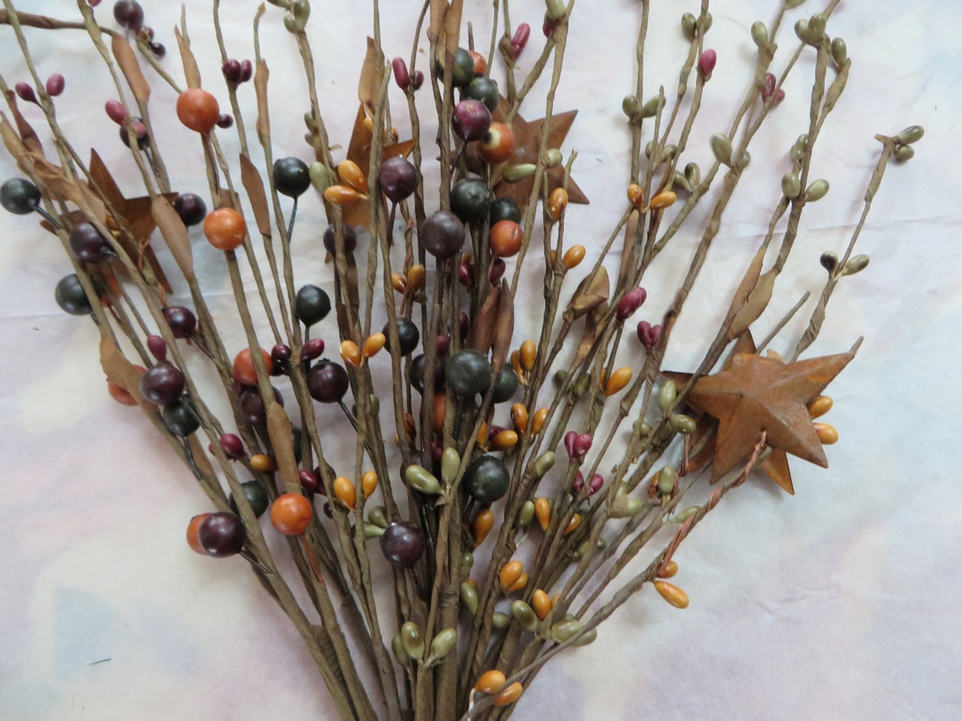 BURGUNDY FOREST GREEN Tan Burnt Red Brown With Rusty Stars Mixed Color ...