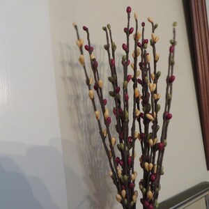 May include: A bundle of decorative branches with small, colorful buds. The buds are a mix of red, green, and cream colors, attached to dark brown stems. The branches are arranged in a vase-like formation.