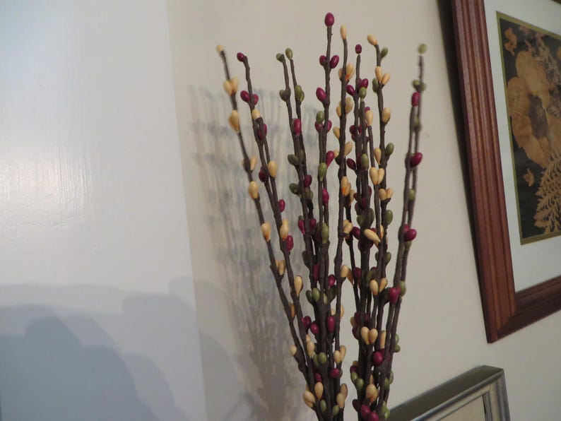 May include: A bundle of decorative branches with small, colorful buds. The buds are a mix of red, green, and cream colors, attached to dark brown stems. The branches are arranged in a vase-like formation.
