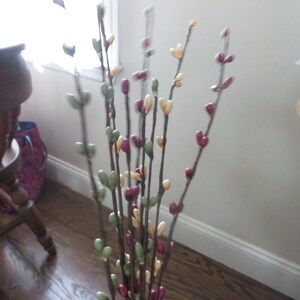 May include: A bundle of decorative branches with small, colorful buds. The buds are in shades of green, red, and cream, attached to thin, brown stems. The branches are arranged in a vase, creating a natural, floral display.