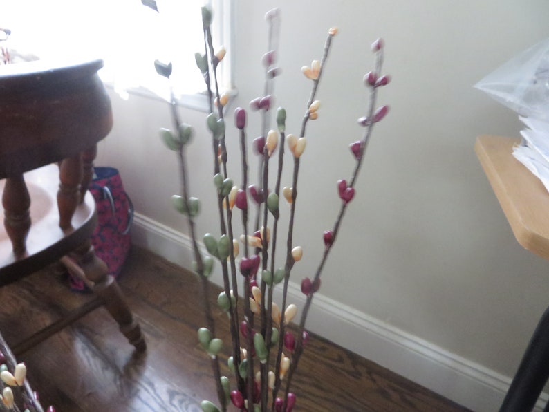 May include: A bundle of decorative branches with small, colorful buds. The buds are in shades of green, red, and cream, attached to thin, brown stems. The branches are arranged in a vase, creating a natural, floral display.