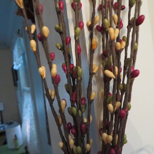 May include: A bundle of decorative twig stems with small, colorful bead-like accents. The beads are in shades of yellow, green, and burgundy, adding a touch of color to the brown stems. Ideal for home decor.