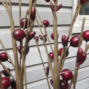 BURGUNDY PIP BERRY Sprays      Short Stem Burgundy Spray with rusty star
