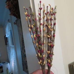 May include: A bundle of artificial berry stems with brown branches and colorful berries. The berries are a mix of red, yellow, and green, creating a natural, decorative accent. Perfect for adding a touch of color to any space.