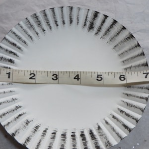 May include: White paper plate with black painted stripes around the edge. The plate is 7 inches in diameter.