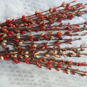 May include: A collection of artificial berry stems. The berries are a mix of red, tan, and cream colors. The stems are brown and appear to be made of wire. The berries are clustered along the stems, creating a full and textured appearance. These stems are suitable for fall or winter decor.