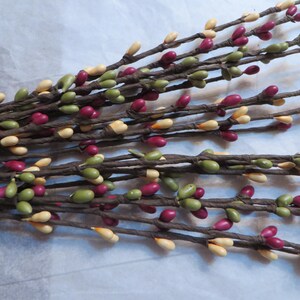 May include: Close-up of several decorative branches with small, colorful berries. The berries are in shades of green, cream, and burgundy, attached to brown stems. These branches are likely used for seasonal home decor.