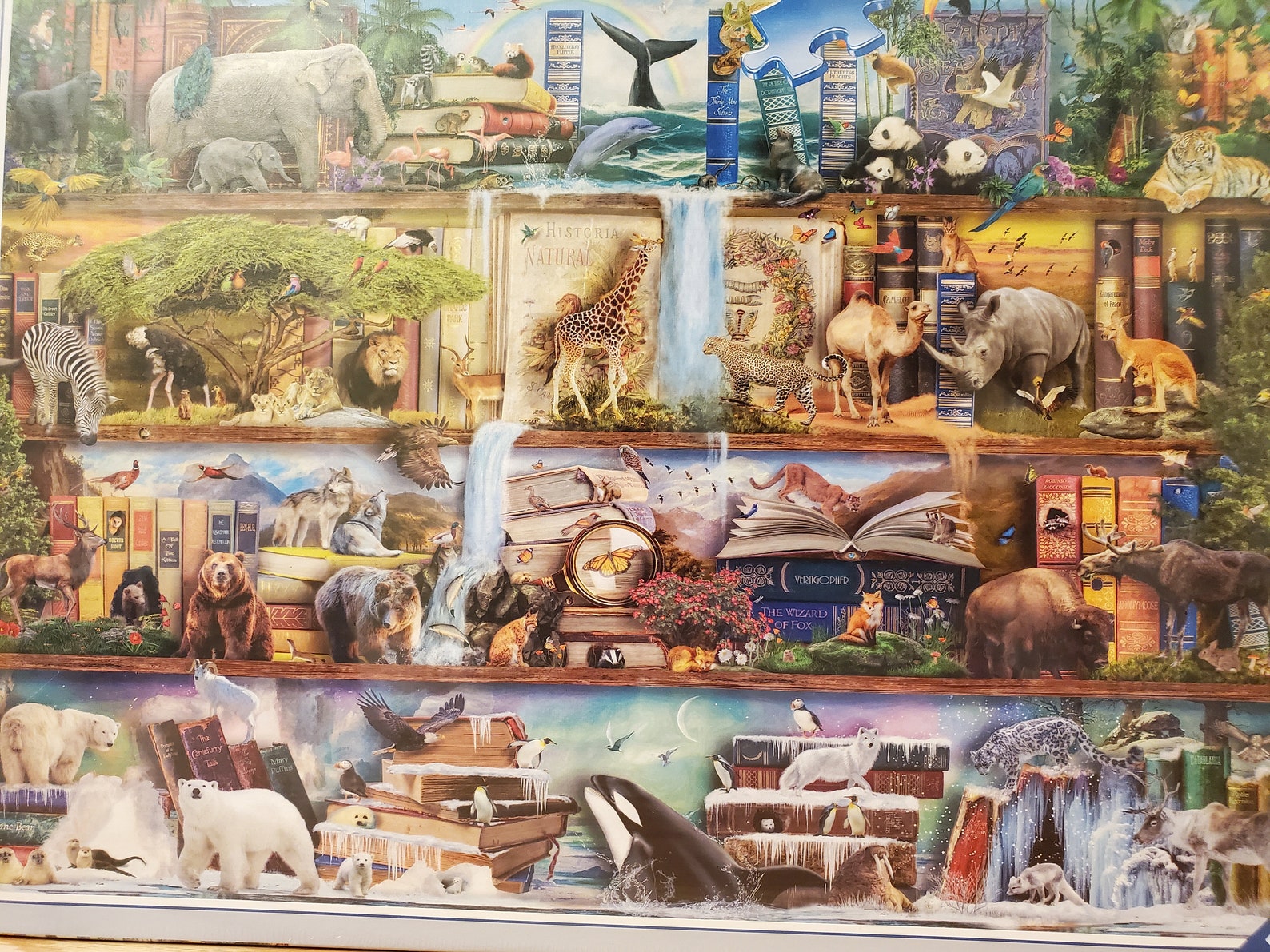 Ravensburger Wild Kingdom Shelves 2000 Piece Jigsaw Puzzle ...