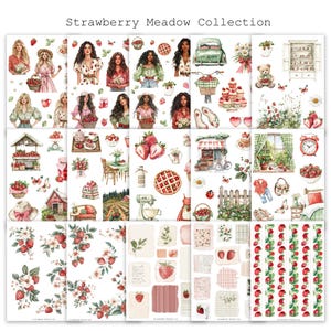 Strawberry Meadows Sticker Collection |  Washi Stickers for Journaling and Planners | Clear Backed Aesthetic Sticker Sheets