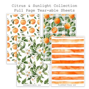 May include: A collection of full-page tear-able sheets with citrus and floral designs. The sheets feature watercolor illustrations of oranges, green leaves, white flowers, and orange stripes. The text "Citrus & Sunlight Collection" and "PLANNER PRESS" are visible.