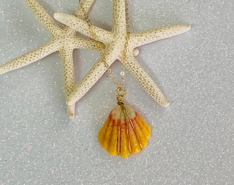 Sunrise Shell Gold Wire Wrapped Necklace 060420