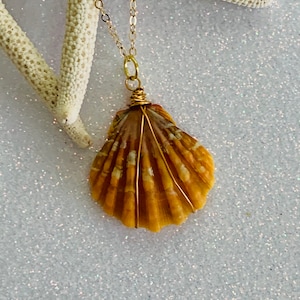Hawaii Sunrise Shell Gold Filled Wire Wrapped Necklace