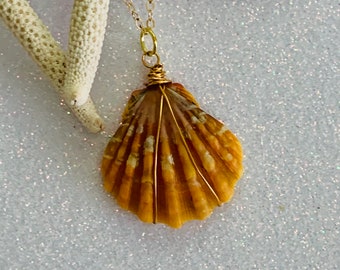 Hawaii Sunrise Shell Gold Filled Wire Wrapped Necklace