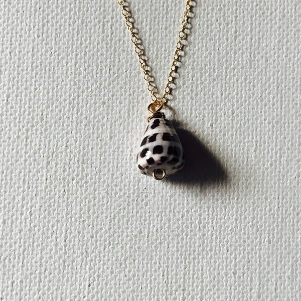 Hawaii Tiny Hebrew Cone Shell Wire Wrapped Necklace