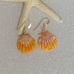 Hawaii Sunrise Shell Gold Wire Wrapped Dangling Earrings