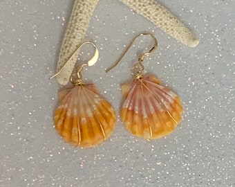 Hawaii Sunrise Shell Gold Wire Wrapped Dangling Earrings