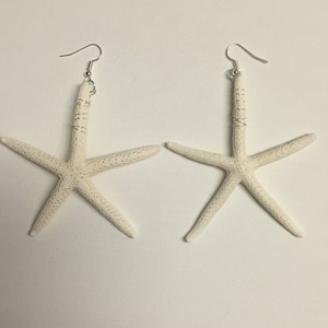 May include: A pair of white starfish earrings with silver wire wrapped around the starfish and silver hooks.
