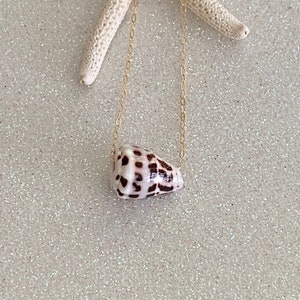 Hawaii Hebrew Cone Shell Floating Gold Filled Necklace