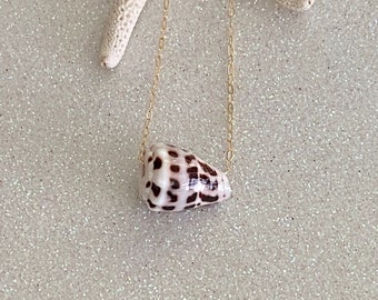 Puede incluir: Un collar de cadena dorada con un colgante de concha marrón y blanca.