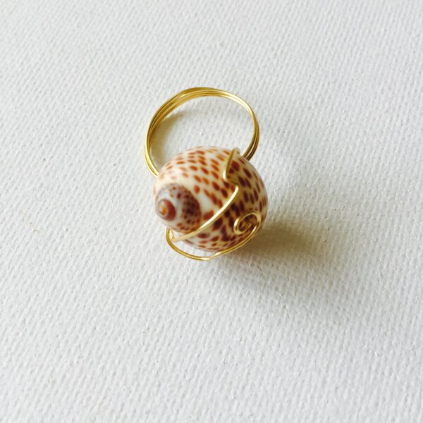 Wire Wrapped Shell - Etsy