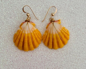 Hawaii Genuine Sunrise Shell Gold Wire Wrapped Dangling Earrings