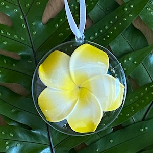 Ornement de sapin de Noël en acrylique Plumeria d'Hawaï