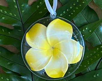 Hawaii Plumeria Acrylic Christmas Tree Ornament