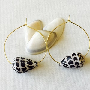 Hawaii Hebrew Cone Shell 2 Inch Gold Wire Hoop Earrings