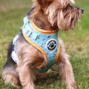 Ice Cream Sprinkles Dog Harness - Mint ~ Adjustable Harness ~ Pet Harness ~ Small Dog Harness ~ Sandy Paws Collar Co®