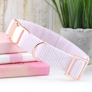 Seersucker Dog Collar - Light Pink & White ~ Rose Gold Metal Hardware ~ Sandy Paws Collar Co