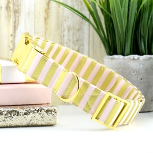 Striped Dog Collar - Yellow Gold & Pink ~ Striped Cotton Fabric Dog Collar ~ Fashion Dog Collar ~ Yellow Gold Hardware ~Sandy Paws Collar Co