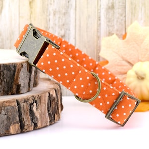 May include: Orange and white polka dot dog collar with a brass buckle and D-ring.