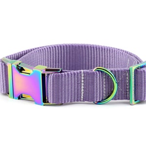 Webbing Dog Collar - Solid Light Purple ~ Solid Nylon Webbing Dog Collar ~ Rainbow/Iridescent Metal Hardware ~ Sandy Paws Collar Co