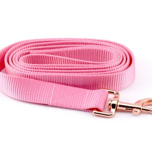 Webbing Dog Leash - Solid Light Pink ~ Solid Nylon Webbing Dog Leash ~ Rose Gold Hardware ~ Sandy Paws Collar Co®