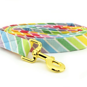 Rainbow Stripe Dog Leash ~ Rainbow Fabric Dog Leash ~ Fashion Dog Leash ~ Yellow Gold Hardware ~ Sandy Paws Collar Co