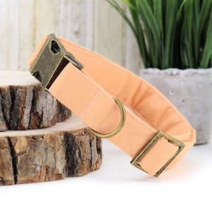 Solid Marmalade Dog Collar ~ Summer Peach Fabric Dog Collar ~ Custom Dog Collar ~ Antique Bronze Hardware ~ Sandy Paws Collar Co®