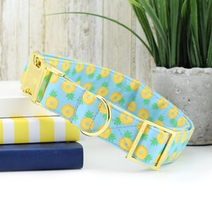 May include: A light blue dog collar with a gold buckle and a pineapple pattern.
