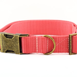 Webbing Dog Collar - Solid Strawberry ~ Solid Nylon Webbing Dog Collar ~ Antique Bronze Metal Hardware ~ Sandy Paws Collar Co