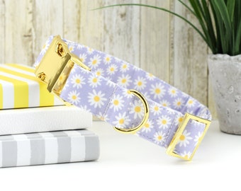 Daisy Dog Collar - Lavender ~ Floral Fabric Dog Collar ~ Cute Dog Collar ~ Girl Dog Collar ~ Yellow Gold Hardware ~ Sandy Paws Collar Co®