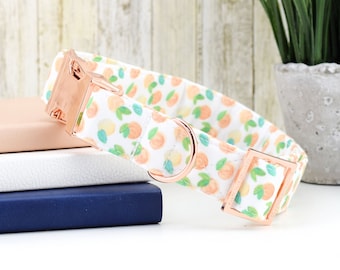 Peach Hundehalsband ~ Sommer Peach Hundehalsband ~ Hundehalsband ~ Rosegold Hardware ~ Hundehalsband ~ Sandy Paws Collar Co®