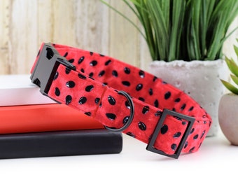 Watermeloenzaad hondenhalsband ~ zomerstof hondenhalsband ~ modieuze hondenhalsband ~ matzwarte hardware - Sandy Paws Collar Co