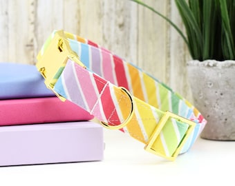 Rainbow Stripe Dog Collar ~ Summer Rainbow Fabric Collar ~ Fashion Collar ~ Yellow Gold Metal Hardware ~ Sandy Paws Collar Co