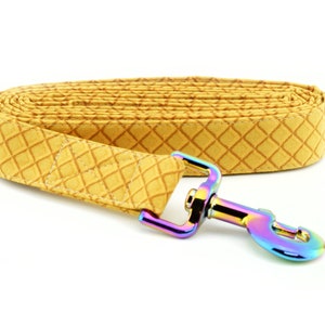 Waffle Cone Dog Leash ~ Summer Fabric Dog Leash ~ Ice Cream Cone Fabric Dog Leash ~ Rainbow/Iridescent Hardware ~ Sandy Paws Collar Co