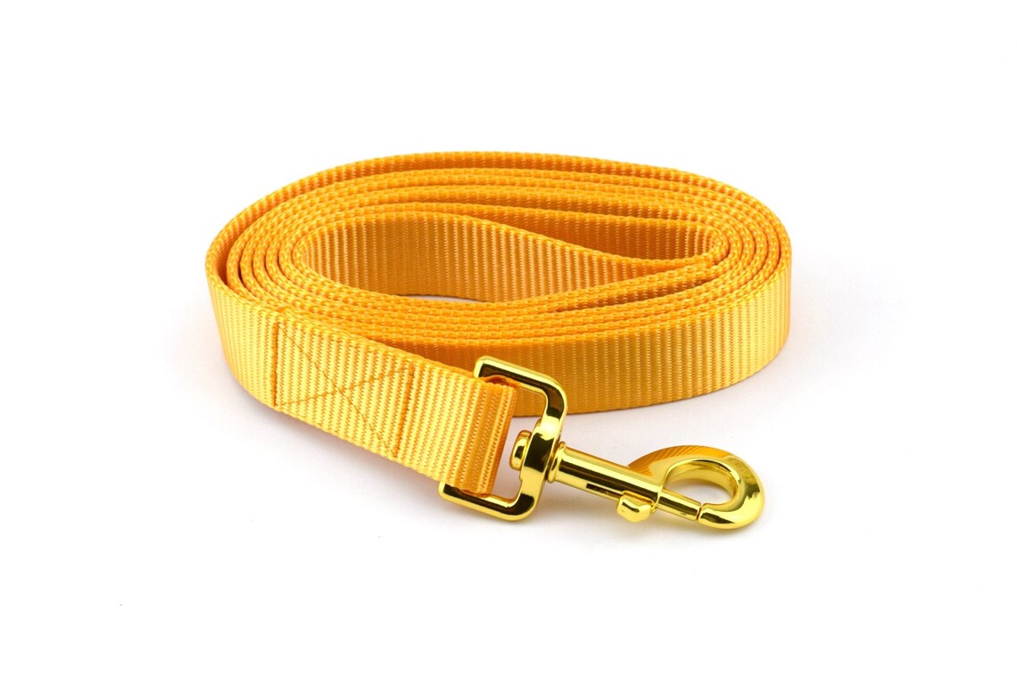 bing Dog Leash Solid Goldenrod Solid Nylon bing Dog Etsy