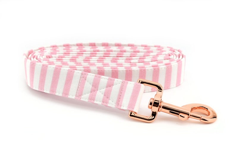light pink dog leash